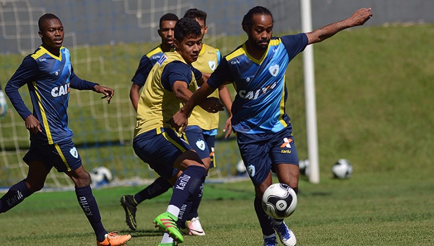 Tubarão pronto para a segunda partida da Semifinal Tubarão pronto para a segunda partida da Semifinal