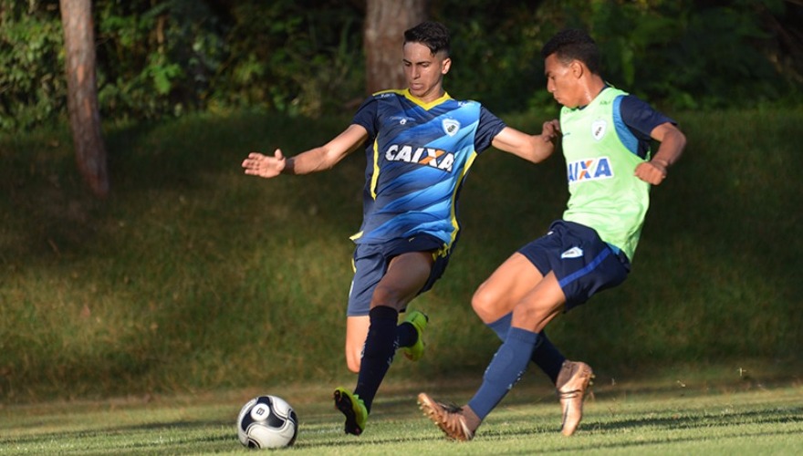 Tubarão começa a se preparar para as Quartas do PR-2017 Tubarão começa a se preparar para as Quartas do PR-2017