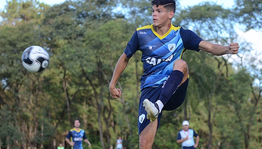 Tubarão pronto para o duelo com o Coritiba